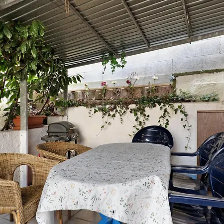 Brown * باد كونيغ