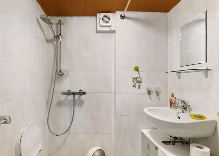 Brown Prázdninový dům *